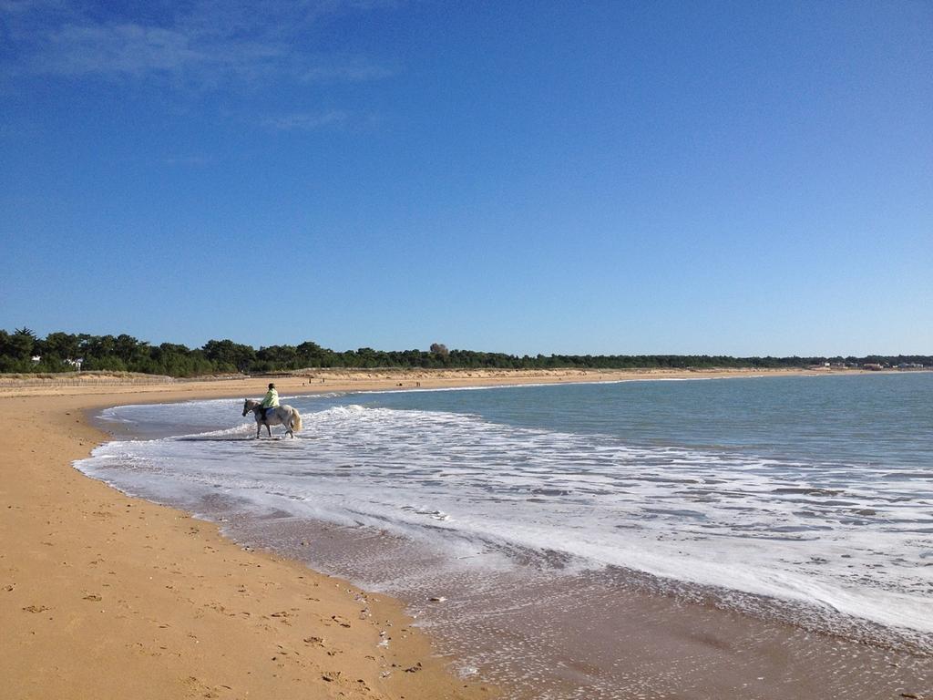Appartement 43 M2 Front De Mer 3 Cles Vacances La Tranche-sur-Mer Phòng bức ảnh